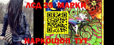 СК Апшеронск