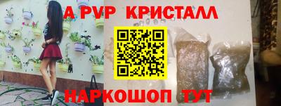 СК Апшеронск