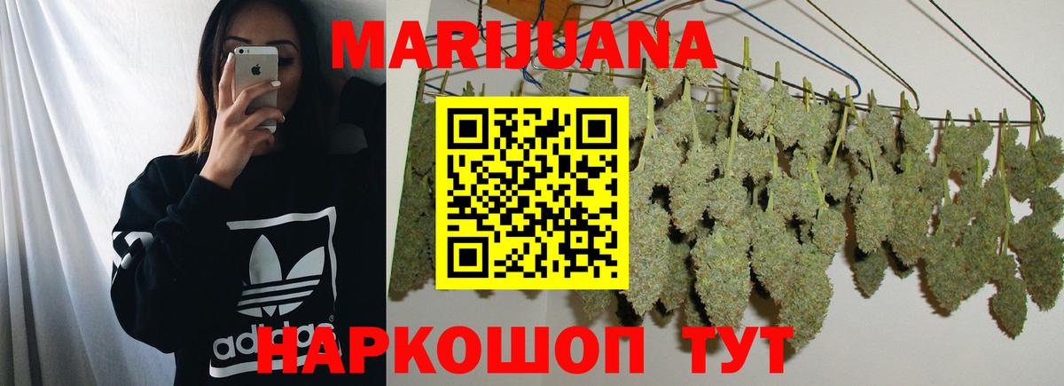 Канабис Кстово